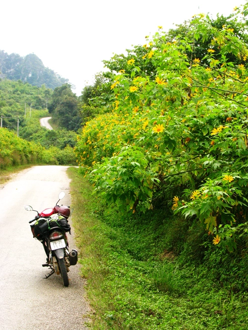 Hai mảnh ghép từ sầm nưa thượng lào - 1