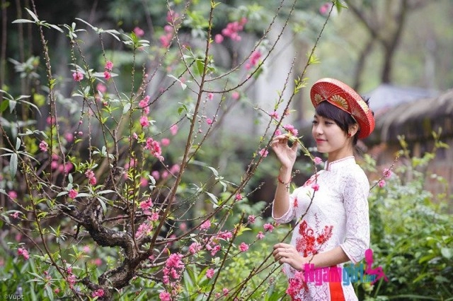 Ảnh áo dài nữ sinh việt nam - 27