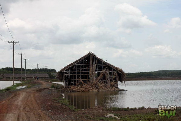 Phượt cần giờ - điểm đến cuối tuần - 15