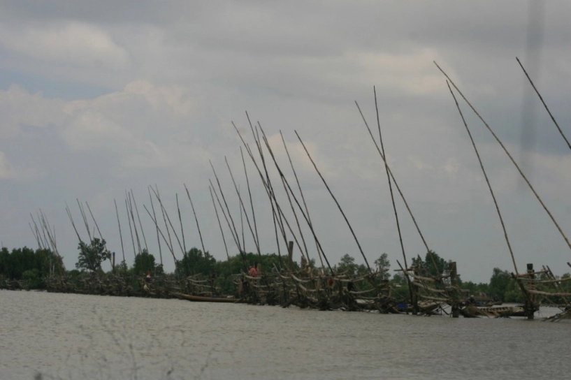 Phượt đất mũi - cà mau - 10