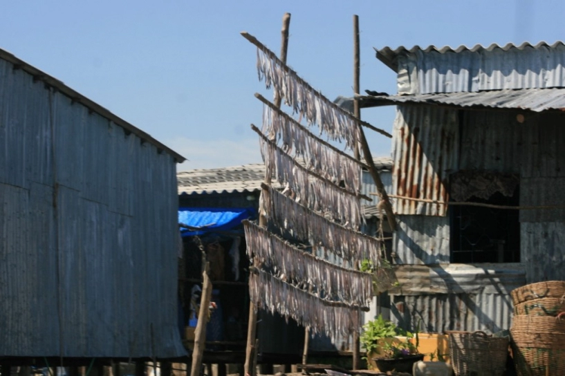 Phượt đất mũi - cà mau - 13