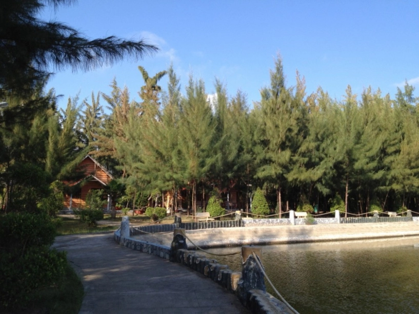 Phượt đất mũi - cà mau - 28