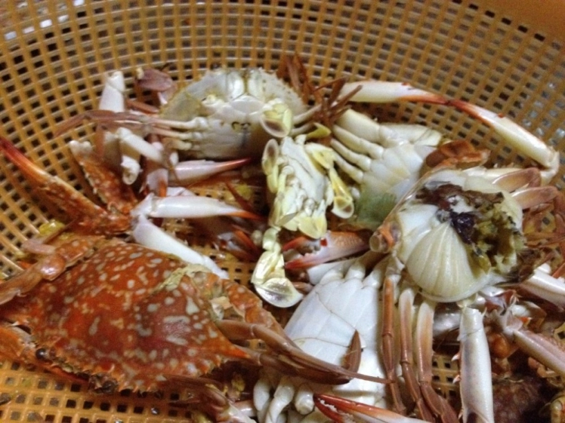 Phượt đất mũi - cà mau - 40