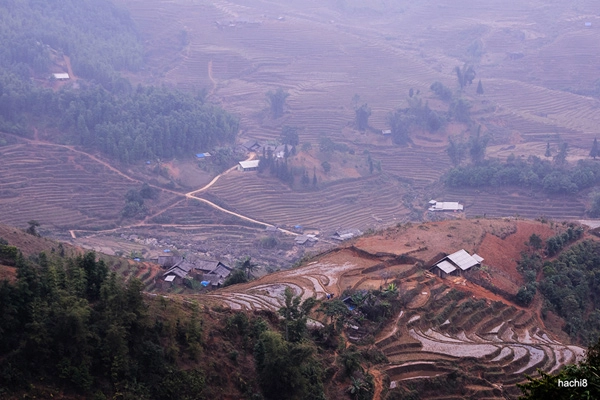 Khám phá rừng sao băng trên đỉnh muối - 6