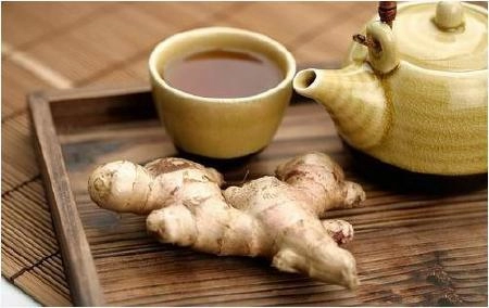 7 loại thảo dược giúp phòng và chữa bệnh đường hô hấp - 3