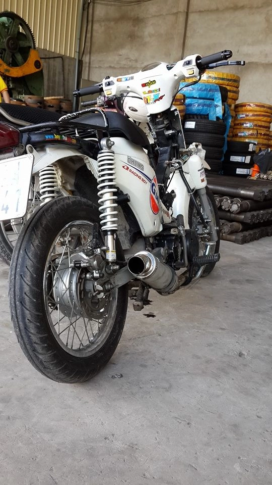 Cub trắng version học sinh - 1