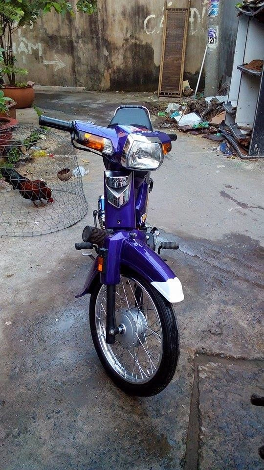 Dream độ trái 62 với màu tím mộng mơ - 3