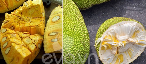 Chiêu phân biệt hoa quả chín ép cho con - 4