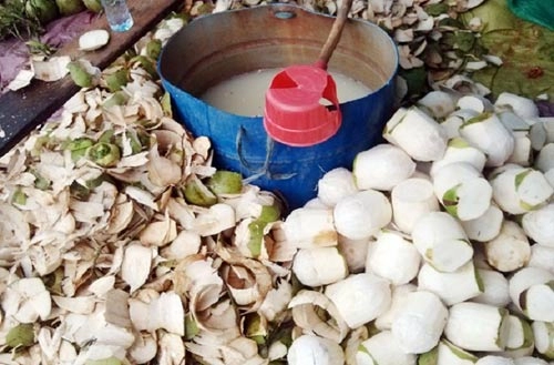 Chiêu phân biệt hoa quả chín ép cho con - 5