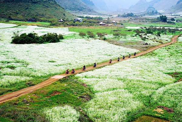 Những bông hoa tuyết ấy vừa đẹp lung linh như tuyết đầu mùa - 7