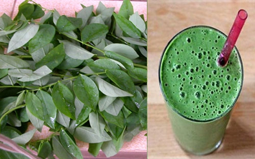 Rau ngót cứu con em khỏi tưa lưỡi - 1