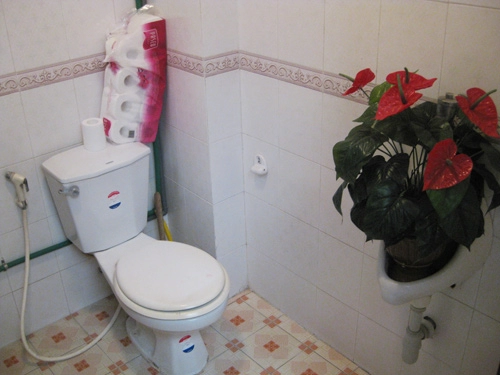 Chàng úc choáng với nhà vệ sinh kiểu việt nam - 2