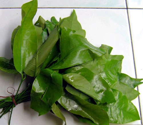 Món ngon gia lai - hương sắc đại ngàn - 3
