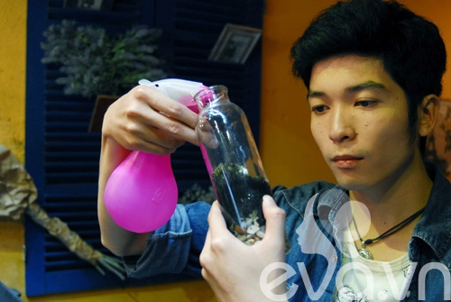 Terrarium học cách tự trồng cây trong bình kính - 11