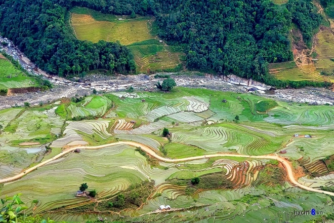 Tháng 5 6 cũng là thời điểm đẹp để đến với cao phạ mù cang chải y tý sa pa - 7