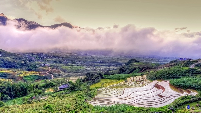 Tháng 5 6 cũng là thời điểm đẹp để đến với cao phạ mù cang chải y tý sa pa - 8