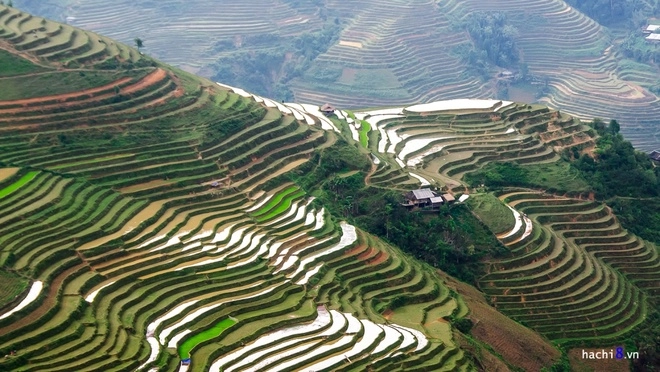 Tháng 5 6 cũng là thời điểm đẹp để đến với cao phạ mù cang chải y tý sa pa - 9
