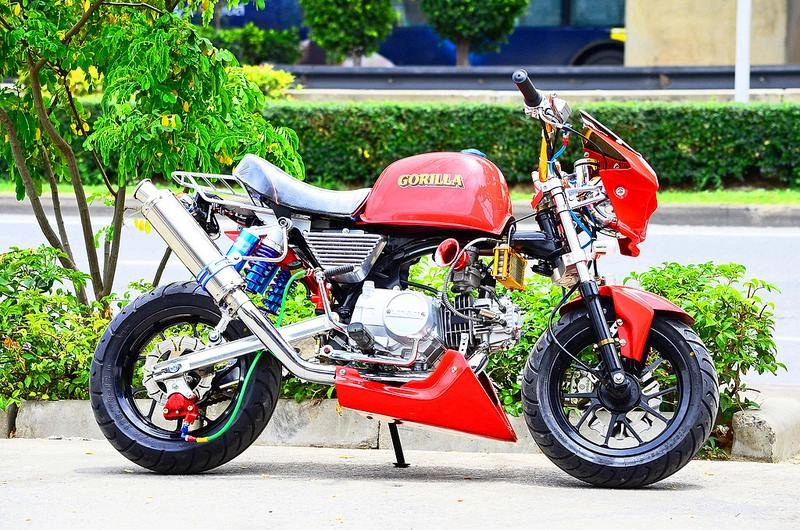 Những chiếc honda chaly độ khủng từ các nước - 8