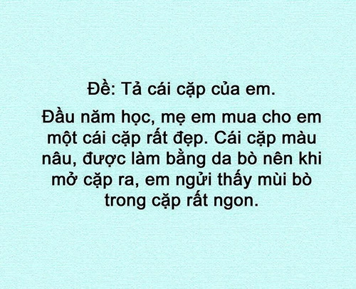 cười ra nước mắt với 30 bài văn tả thực bá đạo của trẻ tiểu học - 2