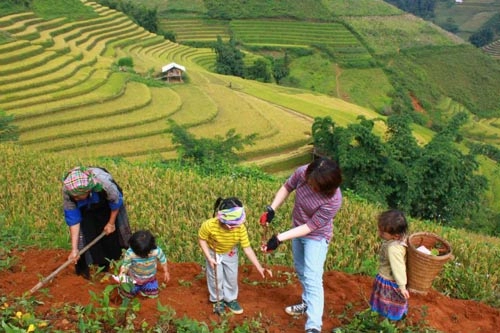 Ngưỡng mộ bà mẹ trẻ cho con đi phượt từ khi 2 tuổi - 10