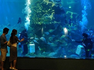 10 điểm du lịch hấp dẫn ở nha trang