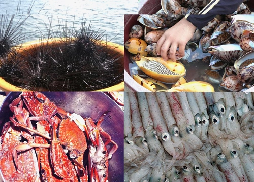 20 điều không nên bỏ lỡ khi ở phú quốc