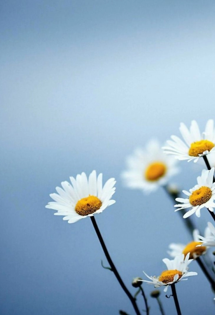 20 wallpaper 3d cho iphone 5 chạy ios 7