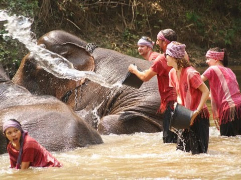 48h ở chiang mai