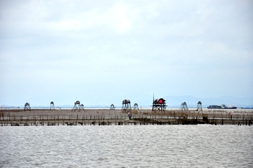 Bạch long vĩ nơi ấy là đảo xa