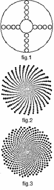 Bí ẩn dẫy số fibonacci và sự trùng hợp kinh ngạc trong tự nhiên