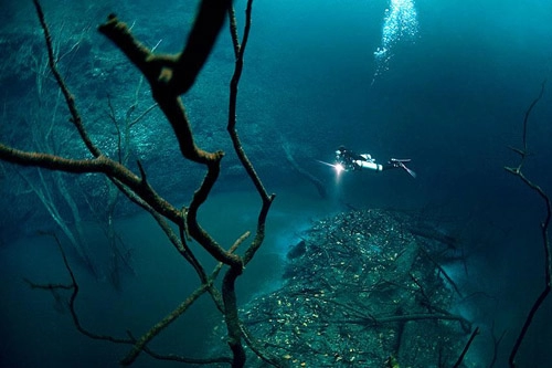 Bí ẩn dòng sông ngầm dưới đáy biển