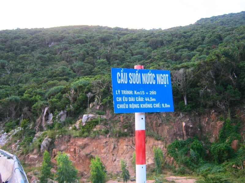 Bình tiên - sơn hải - kê gà có gì lạ