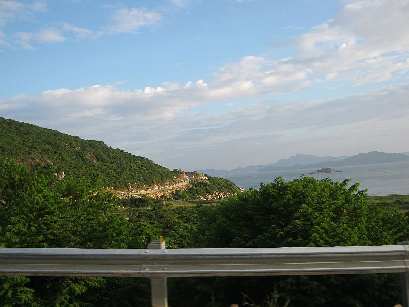 Bình tiên - sơn hải - kê gà có gì lạ