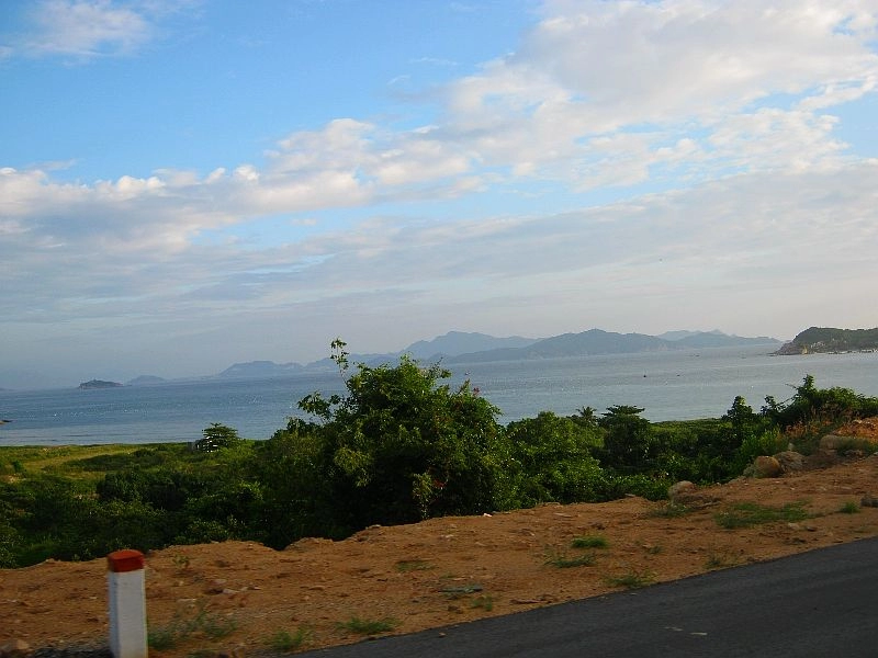 Bình tiên - sơn hải - kê gà có gì lạ