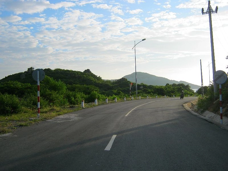 Bình tiên - sơn hải - kê gà có gì lạ