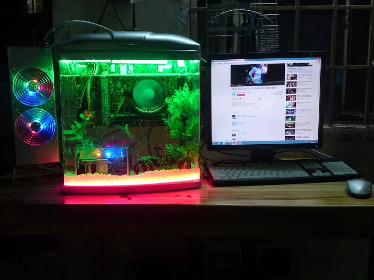 Bộ kit máy tính ngâm dầu - aquarium pc - lung linh như hồ thủy sinh