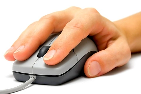 Chuột và những điều bạn nên biết