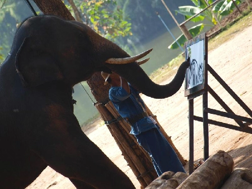Cố đô lampang