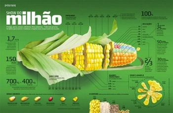 Content marketing - thiết kế infographic
