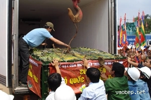 Đặc sản bánh trưng - bánh dày