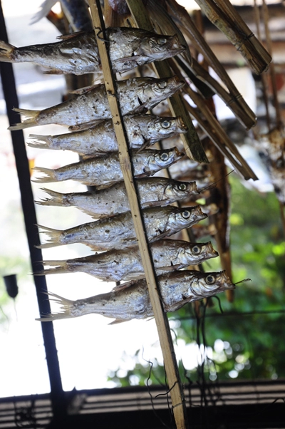 Đêm rằm trên bến thung nai