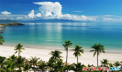 Du lịch siêu tiết kiệm fesival hoa đà lạt 2013 - 2014
