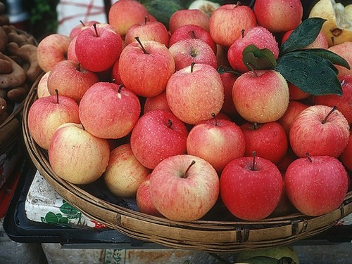 Đường táo lệ giang