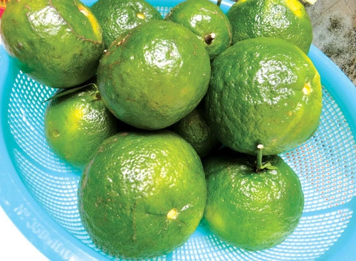 Giữ vitamin c cho rau quả