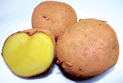 Giữ vitamin c cho rau quả