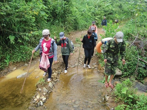 Hành trình về nguyên sơ nơi giếng trời