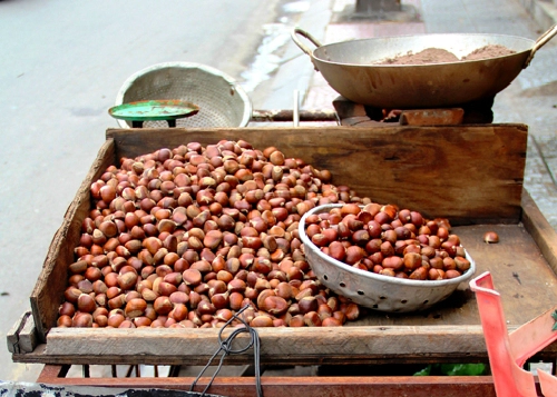 Hạt dẻ trùng khánh lúc gió mùa