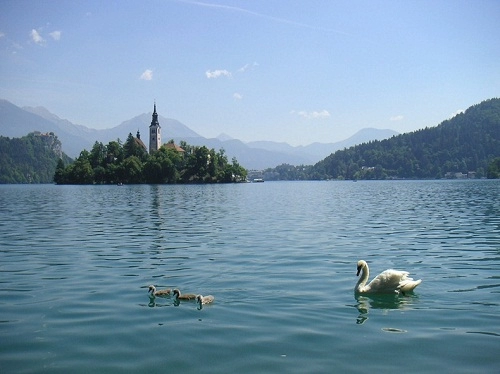 Hòn đảo nổi xinh đẹp giữa hồ ở slovenia