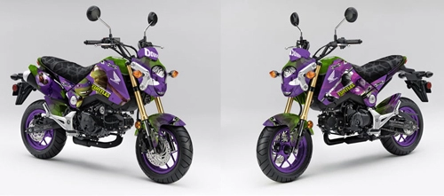 Honda msx 125 phong cách ninja rùa