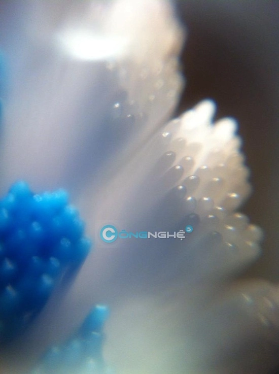 Làm lens macro cho iphone giá dưới 100 nghìn